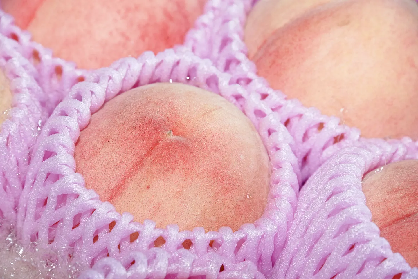 清川町特産、幻の桃・クリーンピーチ