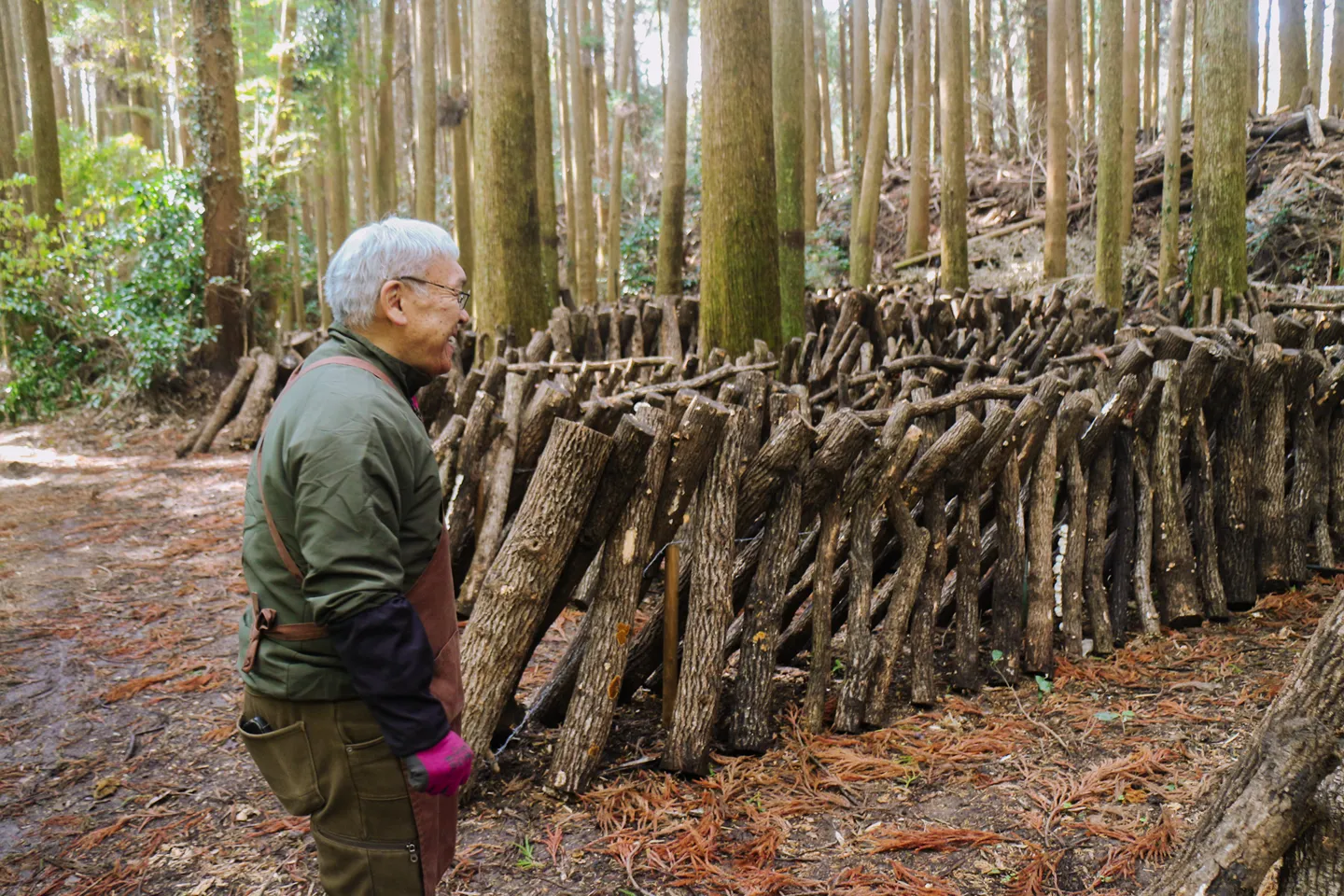 茂里さんのほだ場
